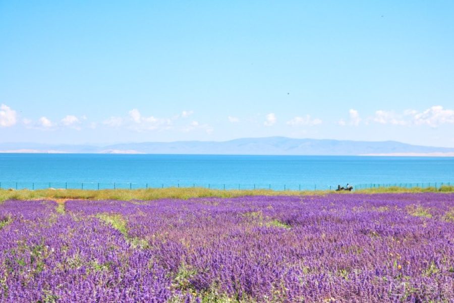 8-dniowa naturalna sceneria w północno-zachodnich Chinach Jezioro Qinghai